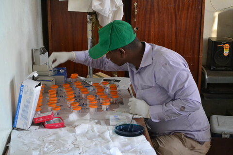 Preparing samples to measure prevalence of worm infections among children in Ethiopia