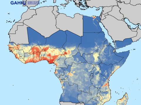 GAHI produced map environment suitability of LF transmission in Africa