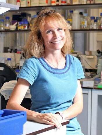 Prof Joanne Webster Prof Joanne Webster