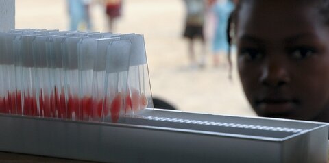 Blood Samples. Credit Antonio Mendes