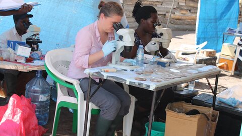 Fiona Allan (centre) checking schistosome egg hatching in Uganda