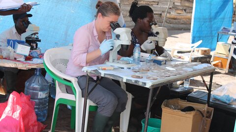 Fiona Allan (centre) checking schistosome egg hatching in Uganda Fiona Allan (centre) checking schistosome egg hatching in Uganda