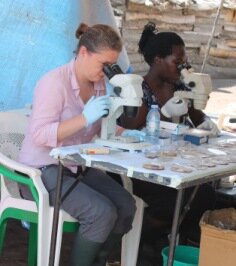 NHM's Fiona Allan (left) checking schistosome egg hatching in Uganda NHMs Fiona Allan (left) checking schistosome egg hatching in Uganda