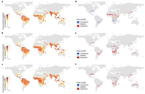 dengue map