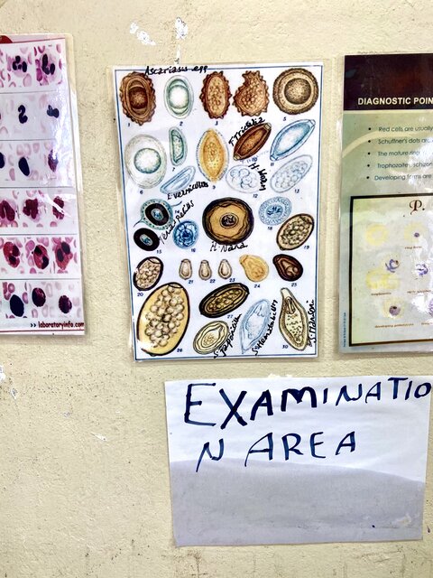 Microscopy guide in a local health post for identifying helminth eggs in stool slides